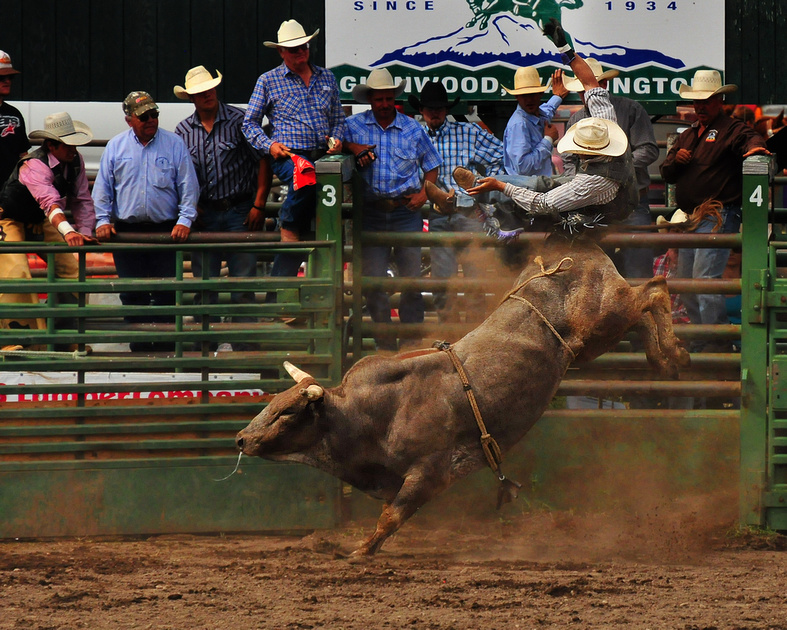 Zenfolio Dan Kleinsmith Photography Glenwood Parade and Rodeo 2013